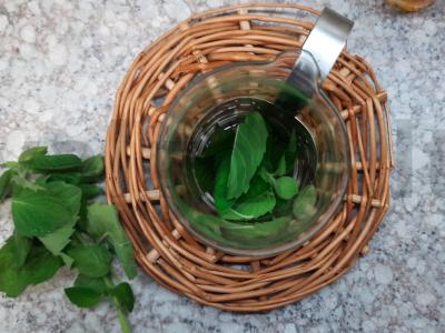 Brusnicų arbata su mėtomis ir medumi Žingsnis 1