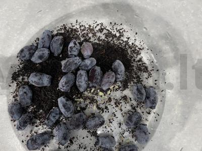 Autorinis arbata su uogomis ir vyšnių lapais Žingsnis 3