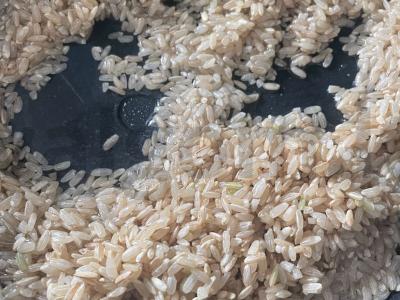 Troškintas rudasis ryžiai su česnaku kaip garnyras Žingsnis 3