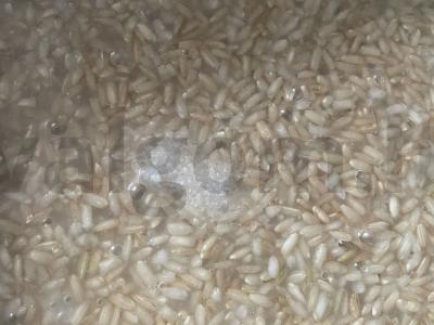 Troškintas rudasis ryžiai su česnaku kaip garnyras Žingsnis 4