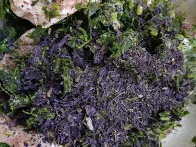 Dolma su naminiu faršu Žingsnis 2