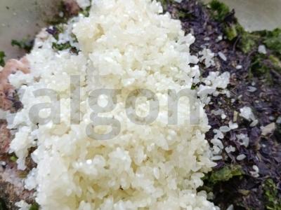 Dolma su naminiu faršu Žingsnis 5