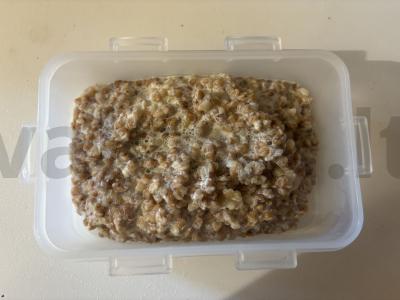 Grikių košė „Pieninė“ pagrindine nuotrauka