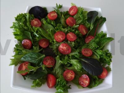 Cezario salotas su vištiena Žingsnis 5