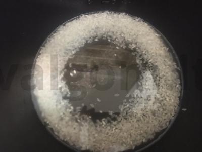 Ryžių onigiri su krabų lazdele ir padažu Žingsnis 1