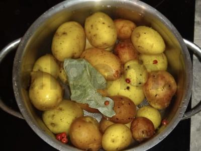 Kūdikių bulvės „Salierų bombos“ Žingsnis 1