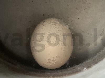 Salotas „Bombino“ Žingsnis 2