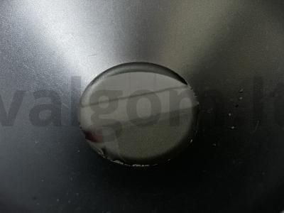 Lobio su kalakutiena, daržovėmis ir prieskoniais Žingsnis 7