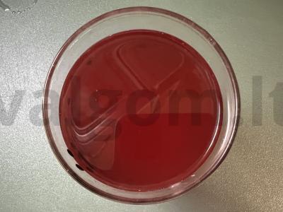 Kompotas „Šermukšnių asorti“ su slyvų džemu pagrindine nuotrauka