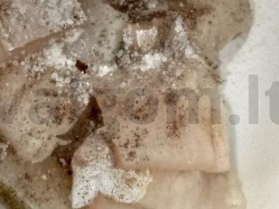 Lydeka tešloje Žingsnis 3