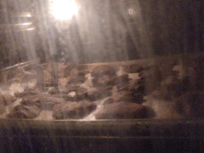 Šokoladiniai sausainiai arbatai Žingsnis 4