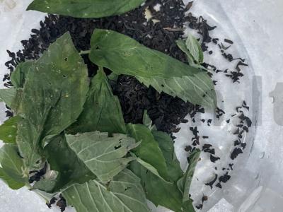 Gėrimas „Apelsinų vakaras“ Žingsnis 2