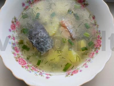 Lašišų žuvienė su manų kruopomis pagrindine nuotrauka