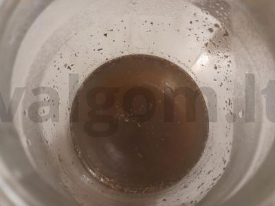 Arbata su juodųjų serbentų ir slyvų Žingsnis 2