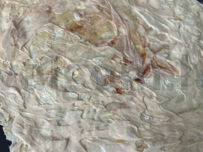 Pica su ananasais, sūriu ir vištiena Žingsnis 1