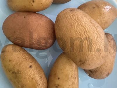 Bulvių blynai su svogūnais Žingsnis 1