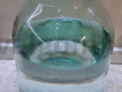 Namų spanguolių sultinys Žingsnis 2