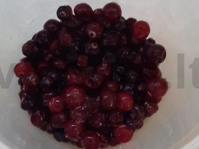 Namų spanguolių sultinys Žingsnis 3