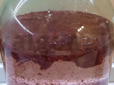 Namų spanguolių sultinys Žingsnis 5