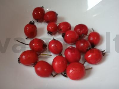 Šaltalankių, slyvų ir juodųjų vynuogių kompotas Žingsnis 1