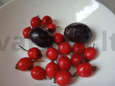 Šaltalankių, slyvų ir juodųjų vynuogių kompotas Žingsnis 2