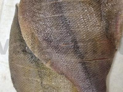 Nuostabi plekšnė, pagaminta elektrinėje grilyje Žingsnis 1