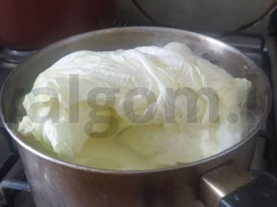 Pekino kopūstų golubcai Žingsnis 1