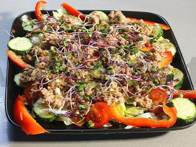 Salotos su tunu ir šviežiais daržovėmis pagrindine nuotrauka