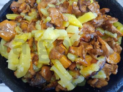 Keptas bulvės su voveraitėmis ir aromatiniu aliejumi Žingsnis 7