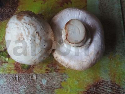 Bulvės su grybais grietinės padaže Žingsnis 1