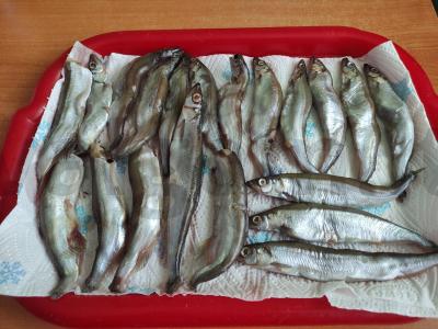 Mojava pagal Tailandą Žingsnis 1