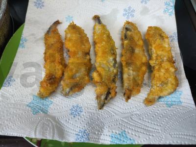 Mojava pagal Tailandą Žingsnis 7