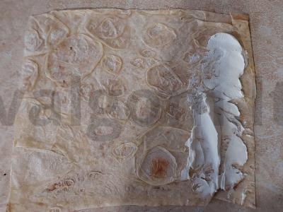 Mini ritinėliai su žuvimi ir agurku Žingsnis 1