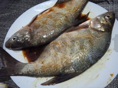 Žuvys ant grotelių, marinuotos vynuogių aliejuje su balzaminiu padažu Žingsnis 2