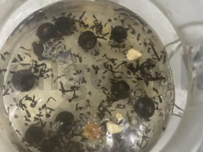 Persikų arbata „Sveikata“ Žingsnis 3