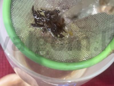 Persikų arbata „Sveikata“ Žingsnis 4