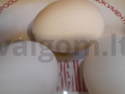 Mėsos ritinys „Netikras kiškis“ Žingsnis 2