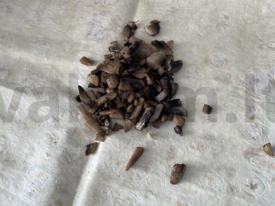 Rulonai „Gribų aštrumas“ Žingsnis 2