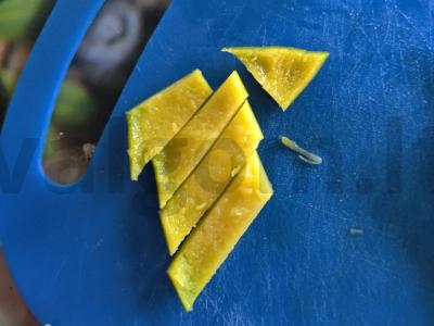 Mango-šaltalankių arbata Žingsnis 1