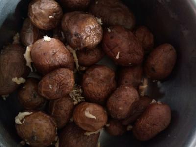 Kūdikių bulvės grietinėlės svieste su krapais Žingsnis 1