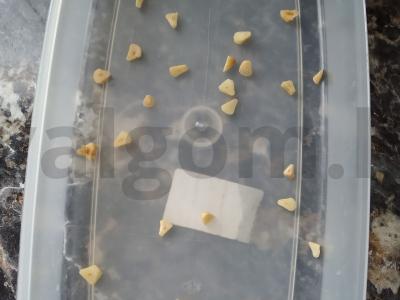 Šaltas sultinys Žingsnis 4