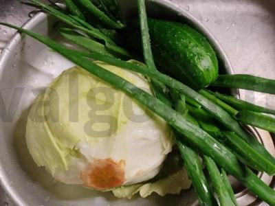 Salotos lieknėjantiems su raudonąja žuvimi ir nori lapais Žingsnis 1