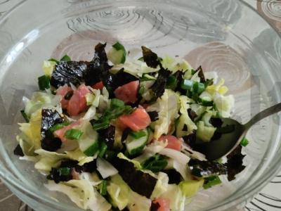 Salotos lieknėjantiems su raudonąja žuvimi ir nori lapais pagrindine nuotrauka