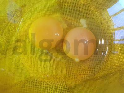 Kiaušinių omletas su avokadu Žingsnis 1