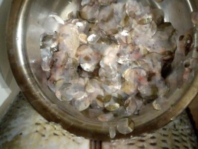 Žuvies aspikas iš karpio Žingsnis 2