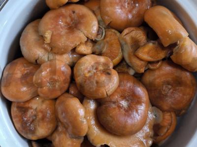 Voveraitės, kepamos ant grotelių Žingsnis 1