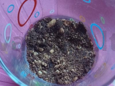 Varškės desertas stiklinėje be kepimo Žingsnis 8