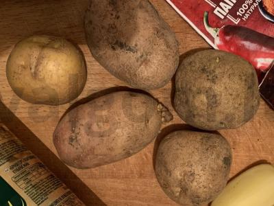 Kaimiški bulvės su rapsų aliejumi Žingsnis 1