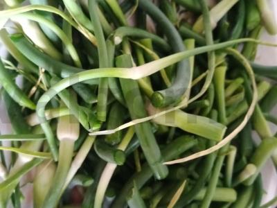 Avižų ir česnako daigų tyrė Žingsnis 1