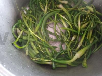 Avižų ir česnako daigų tyrė Žingsnis 3